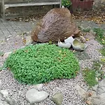 Bed and Breakfast Safine