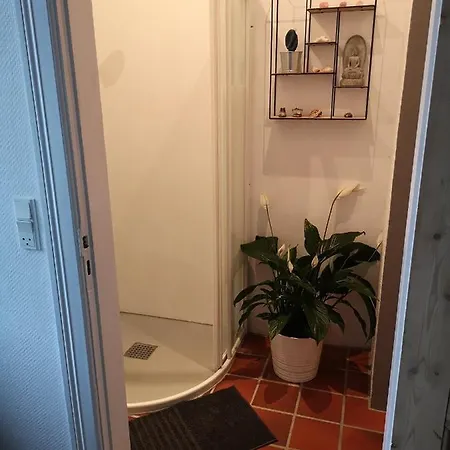 Alojamento de Acomodação e Pequeno-almoço Safine 3*