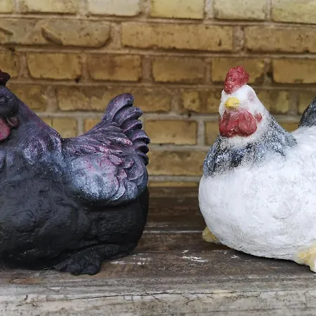 Safine Bed and breakfast 3*