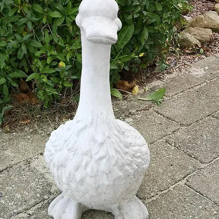 Safine Faaborg
