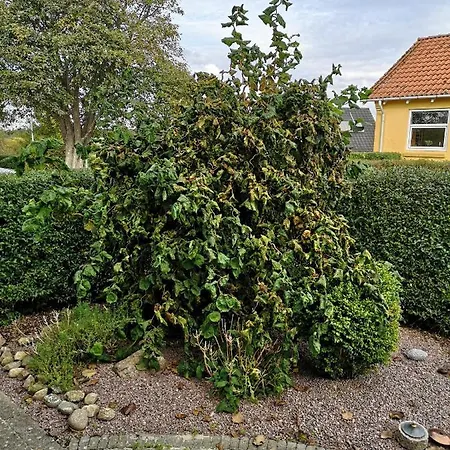 Safine Bed and breakfast Fåborg