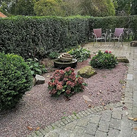 Safine Bed & Breakfast
