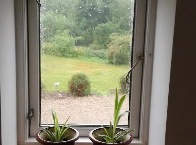 Safine Bed & Breakfast