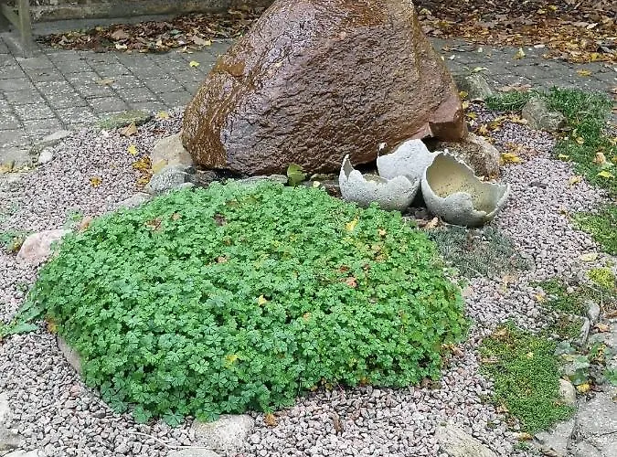 Bed & Breakfast Safine