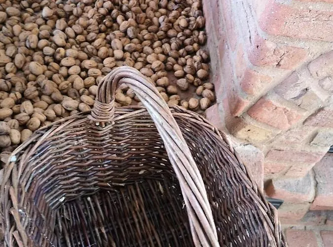 Safine Bed & Breakfast Faaborg